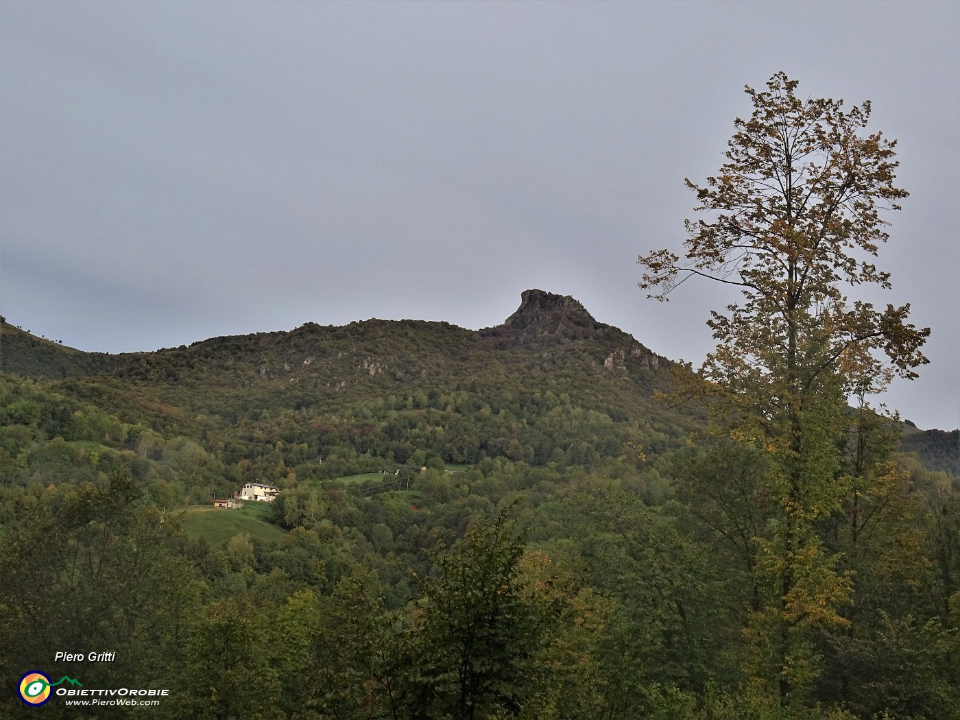 07 Dalla Costa d'Olda compare il Corno Zuccone nel grigiore di velature estese in cielo.JPG